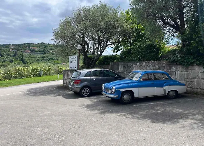 לינה וארוחת בוקר Kovac